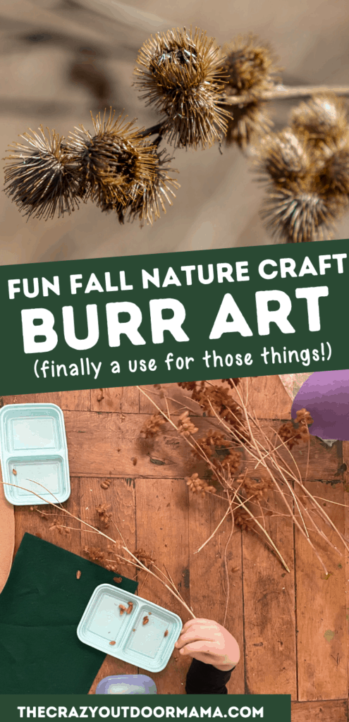 cheap fall nature craft with burrs