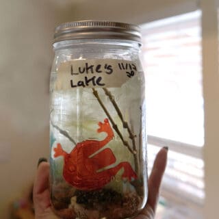 lake in a jar lake craft for kids
