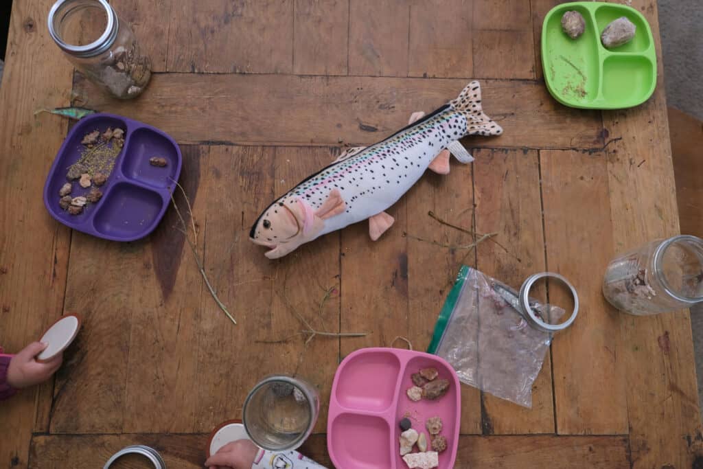 "Pond in a Jar" Pond/Lake Craft + Printable Frog Life Cycle Activity