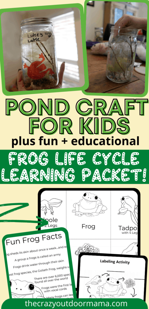 pond craft for kids with printable frog life cycle activity for little kids