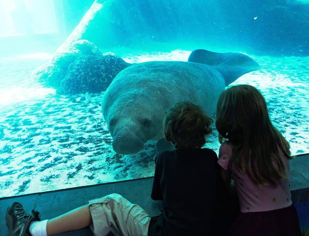 associatiation of zoos and aquariums cheap learning for kids rving