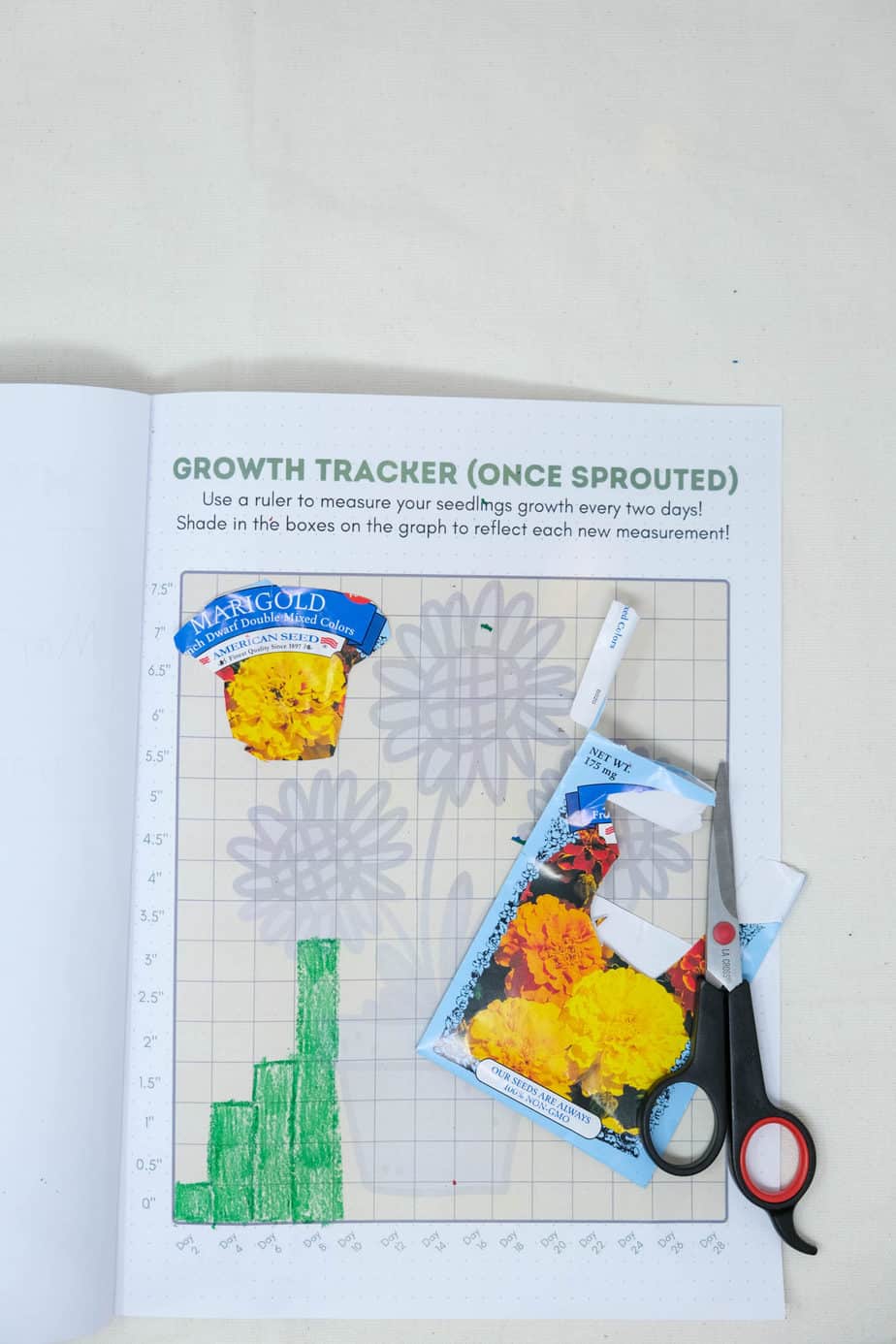 printable plant tracking journal for kids