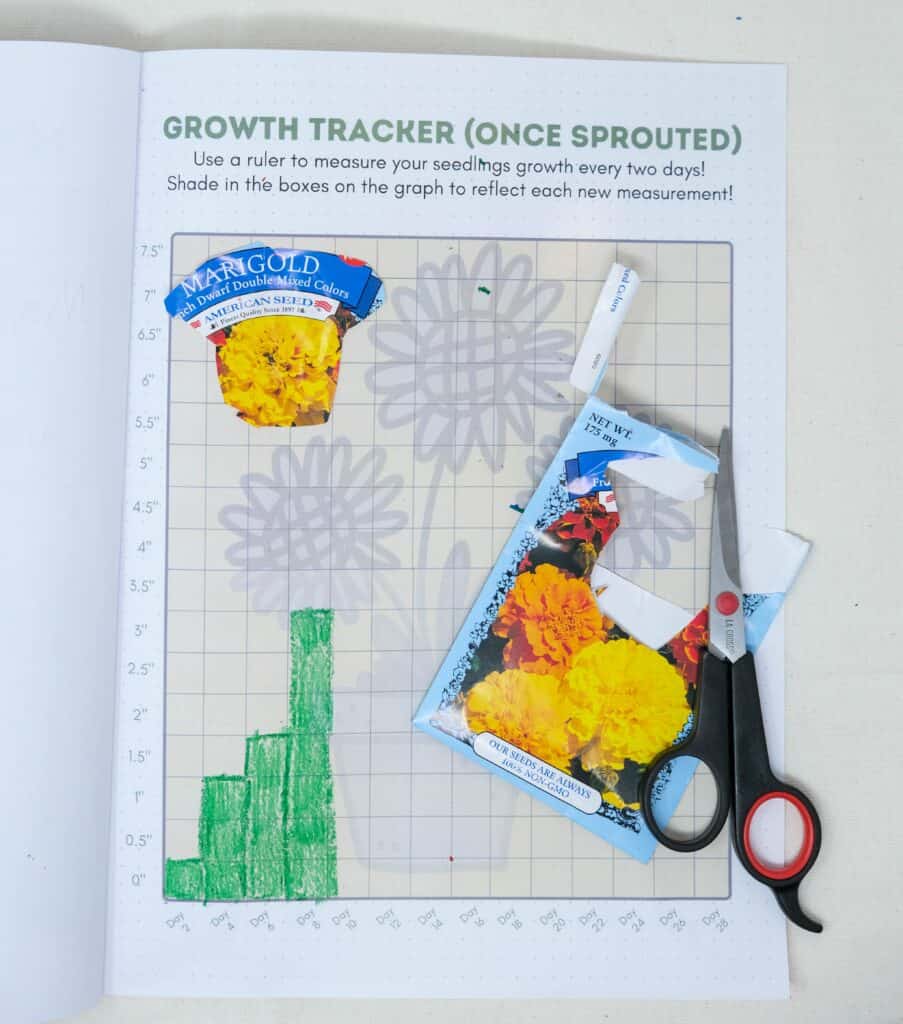 plant growth tracking chart for kids printable