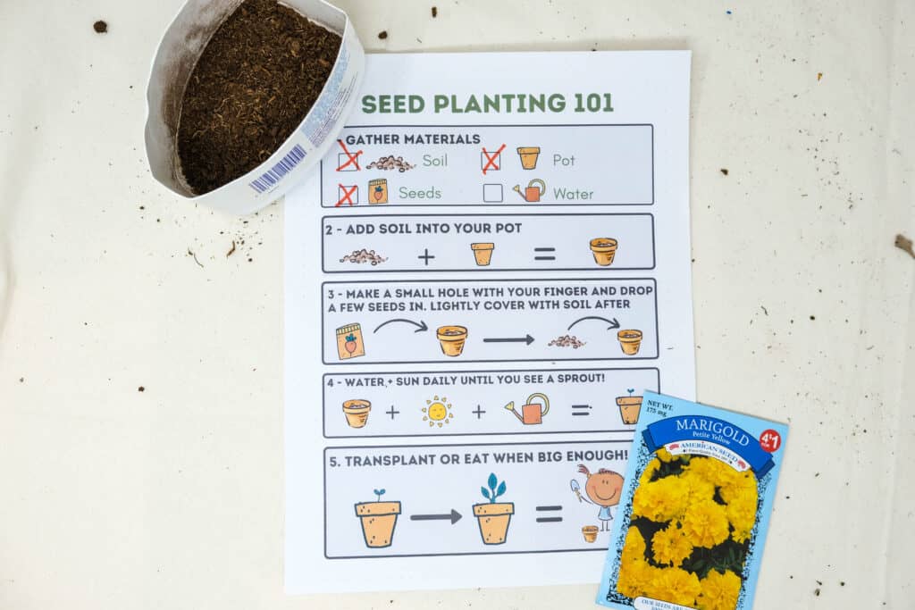 easy visual seed planting printable for kids