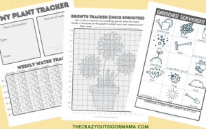 Kids Printable Garden + Planting Activity Pack (PERFECT for spring ...