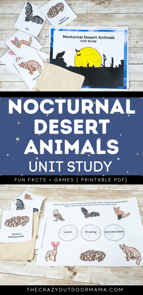 fun nocturnal desert animal activity pack with matching and fun facts for kids