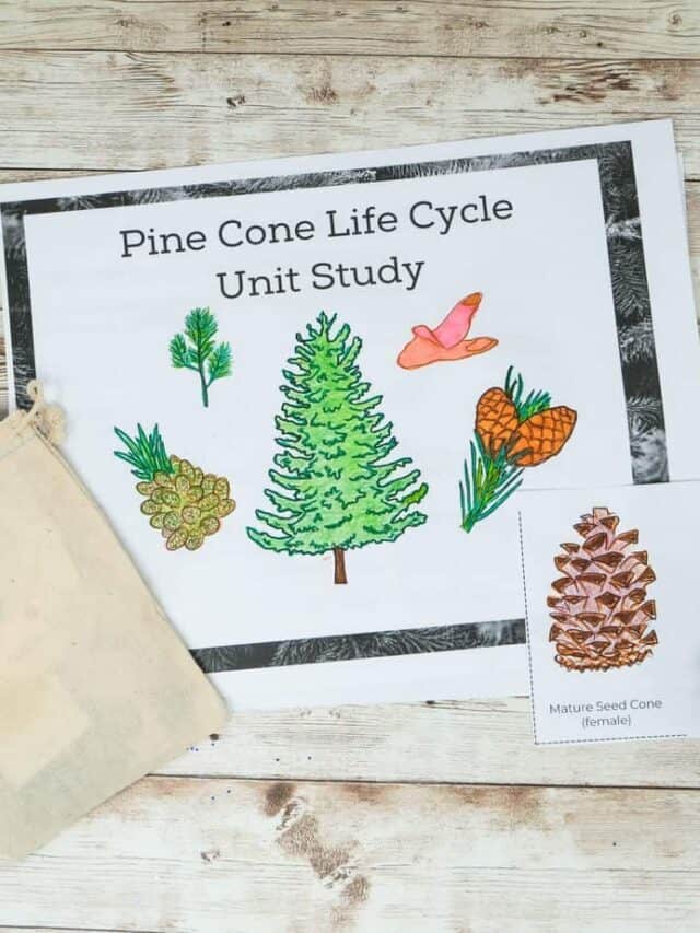 Fun + Educational Pine cone Unit Study for Kids! Story