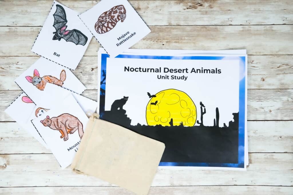 night time desert animals unit study