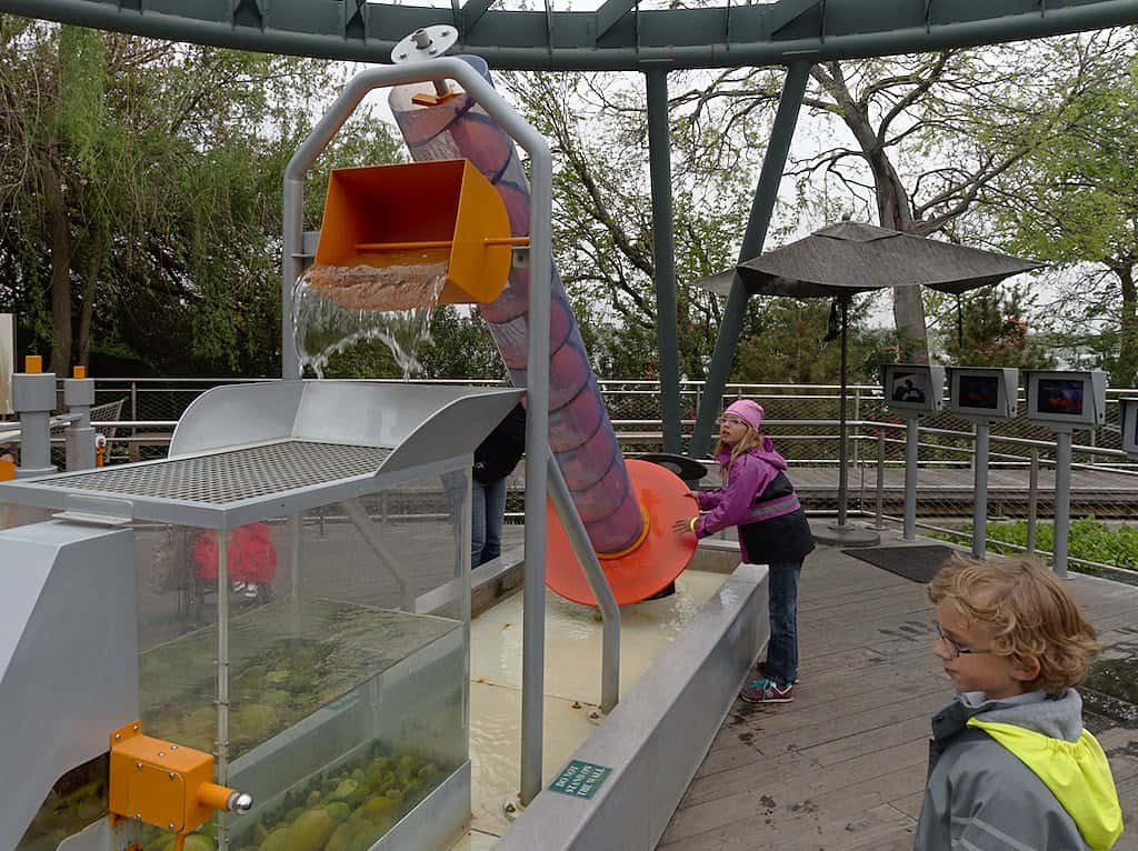 dallas arboretum learning activities