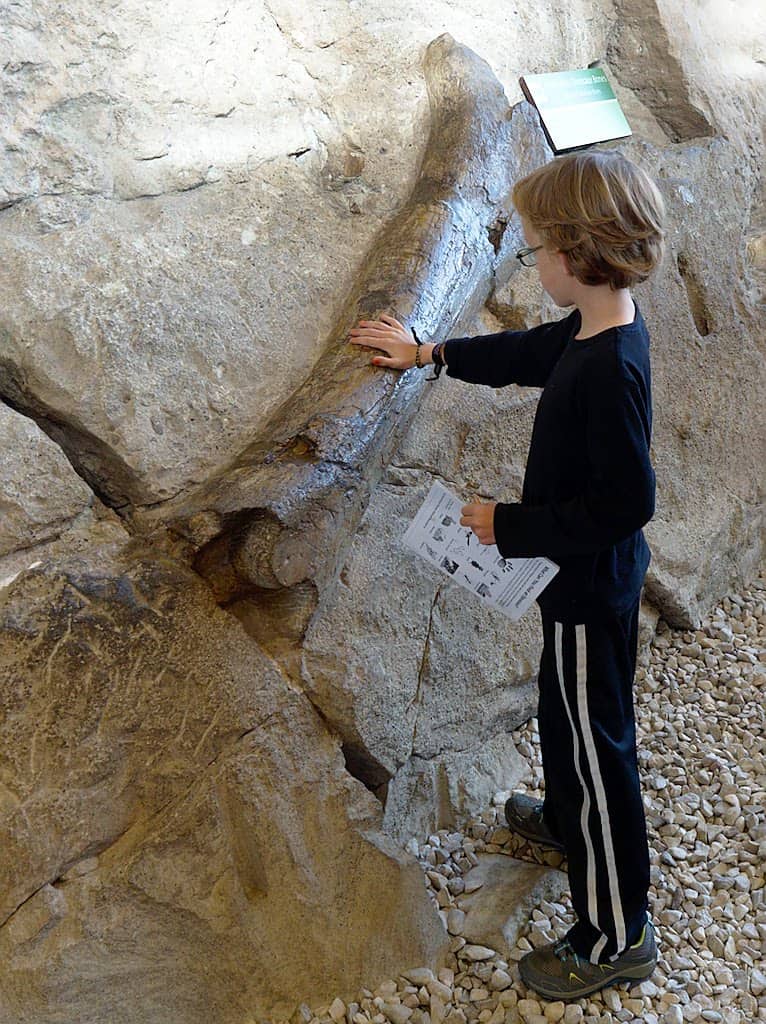 dinosaur national monument educational roadschooling ideas