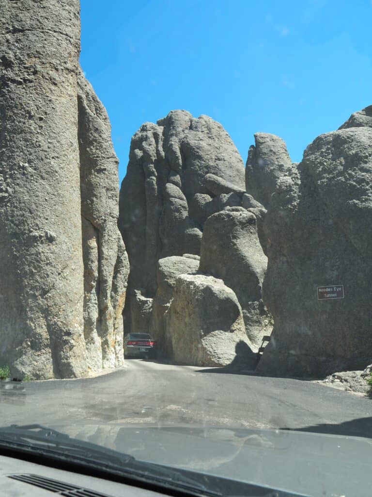 custer state park roadschooling educational ideas