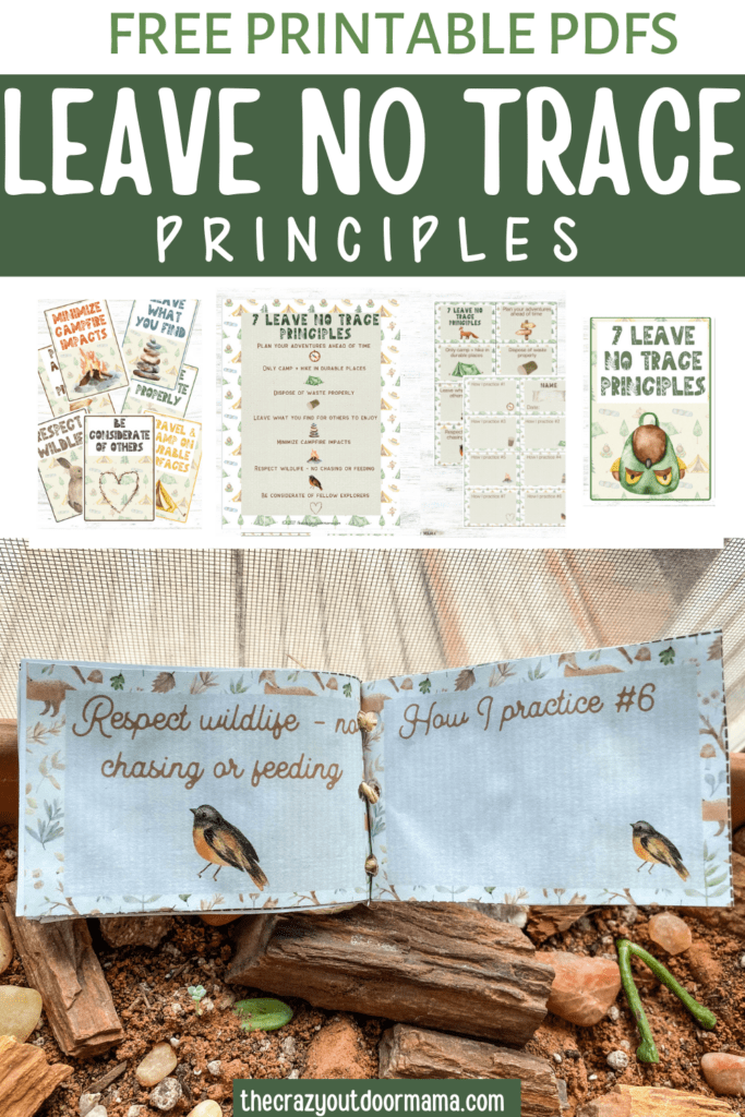 free printable to learn about 7 principle of leave no trace for camp week