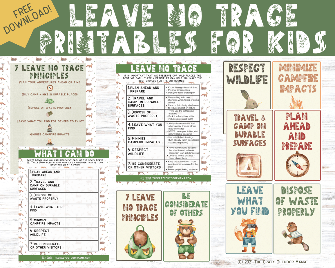 7 Leave No Trace Principles Printable PDF Worksheet For Kids! – The ...