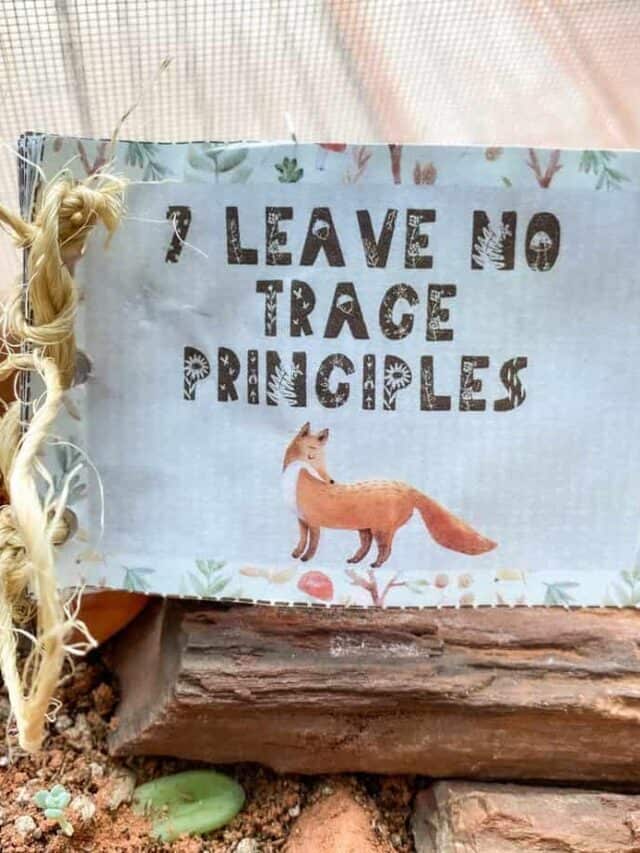 7 Leave No Trace Principles for Backpacking and Camping  Story
