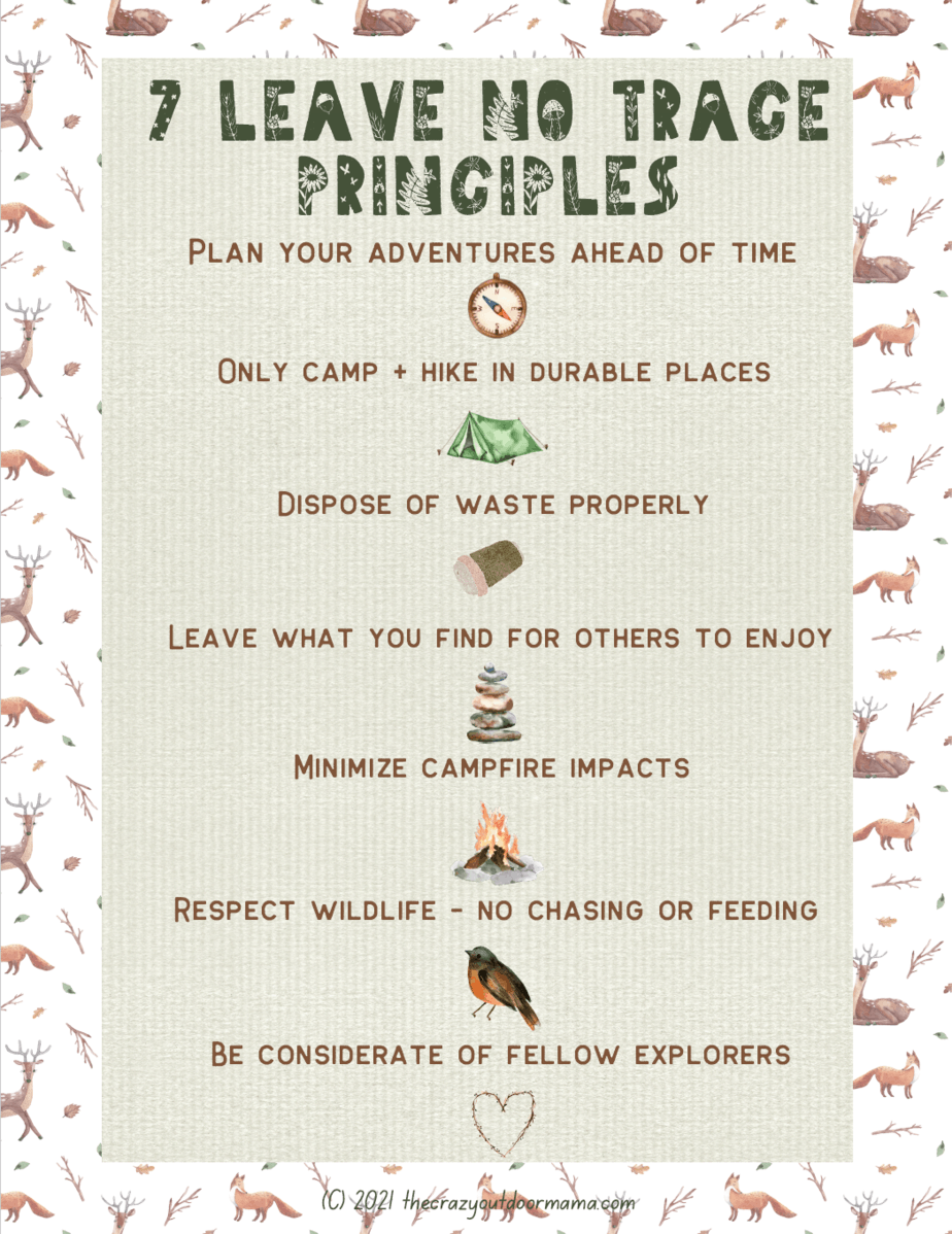 7 Leave No Trace Principles for Backpacking and Camping (+FREE PDF