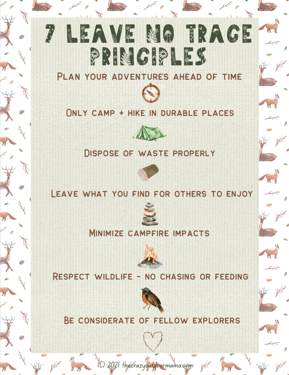 Leave No Trace Printable Printable Word Searches
