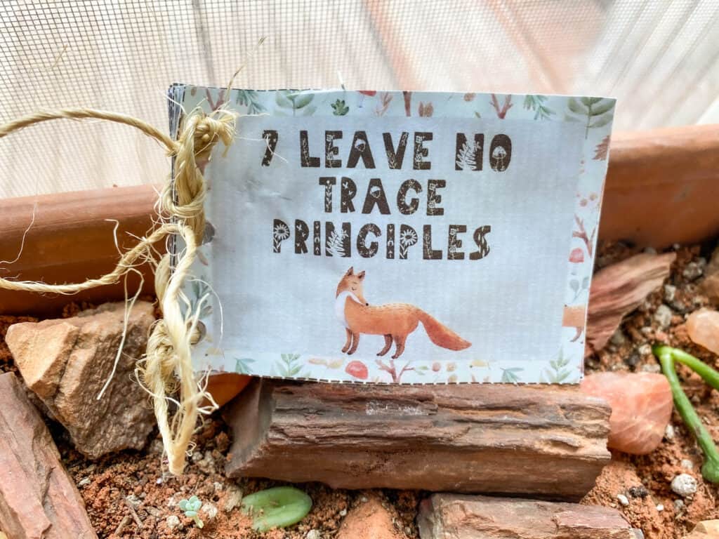 leave no trace printable for kids mini journal