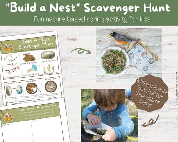 american robin nest scavenger hunt activity