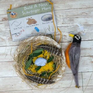 nest craft and printable for spring with kids