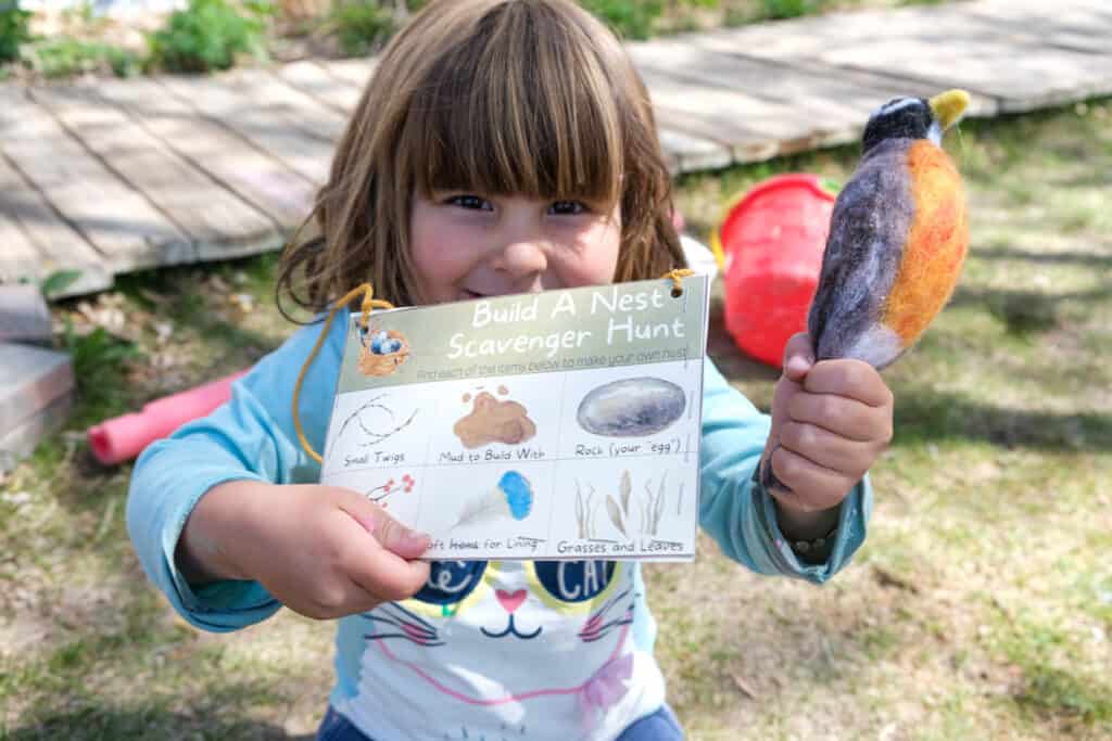 american robin nest activity for spring