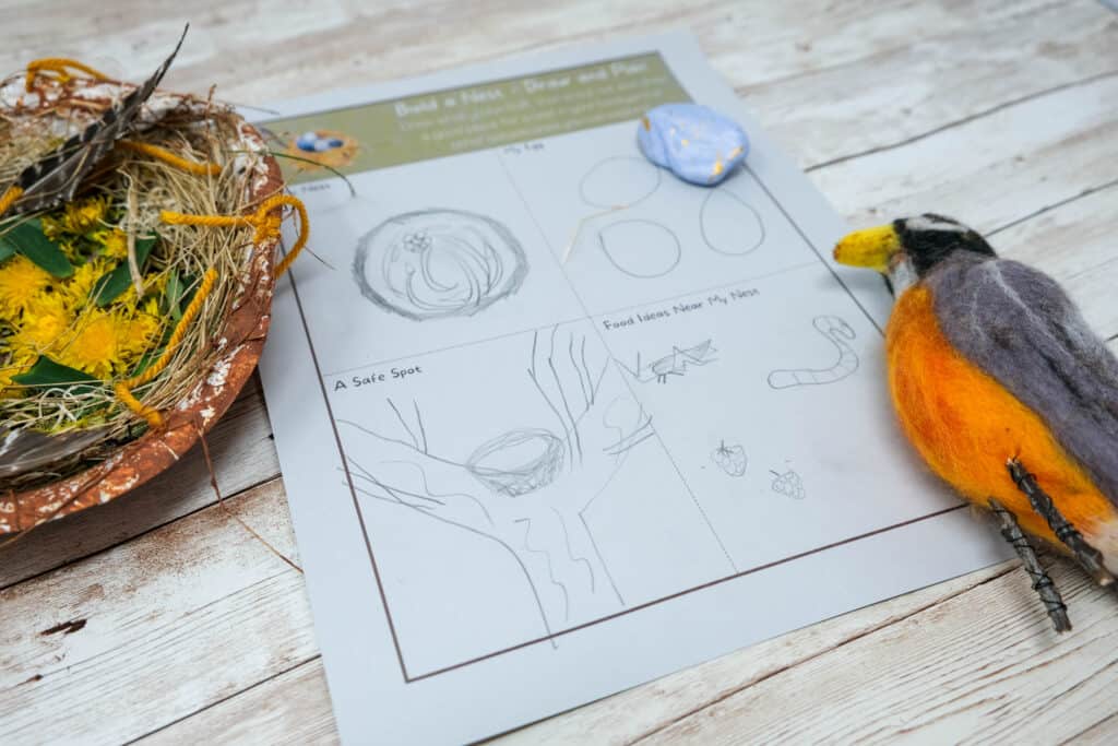 American robin nest planning worksheet for kids