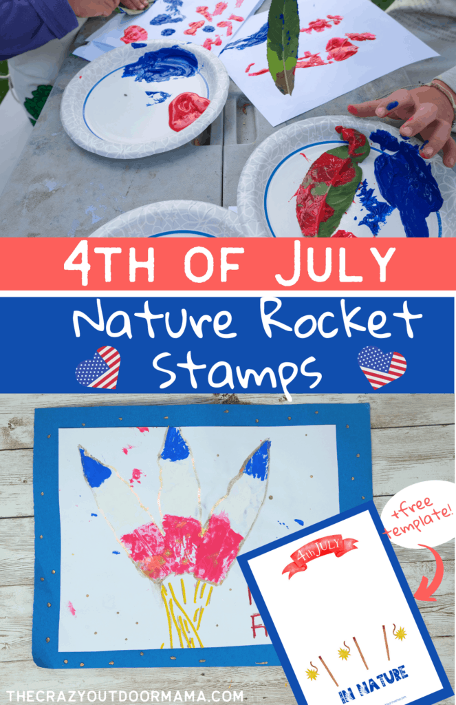 nature 4th of july craft