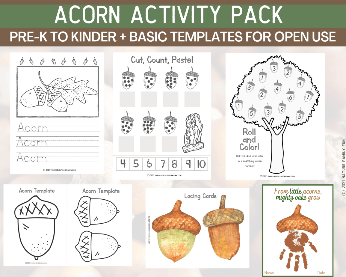 15-adorable-acorn-crafts-for-kids-free-8-page-printable-pdf-activity