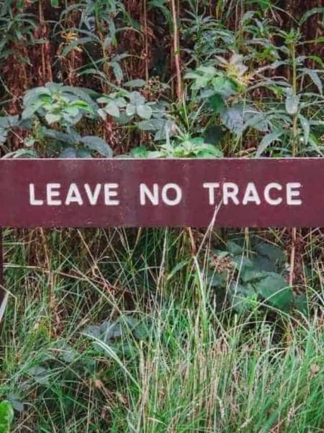 Follow These 7 Leave No Trace Principles Story