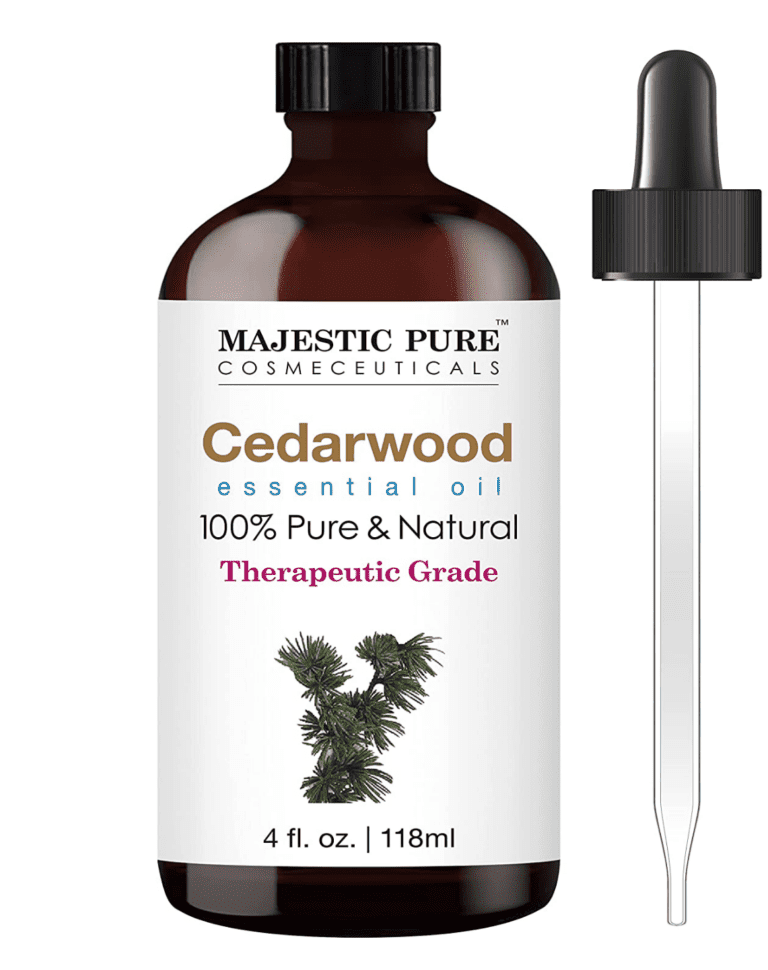 15 Tricks to Actually Keep Mice Out of Your RV (No Irish Spring Soap