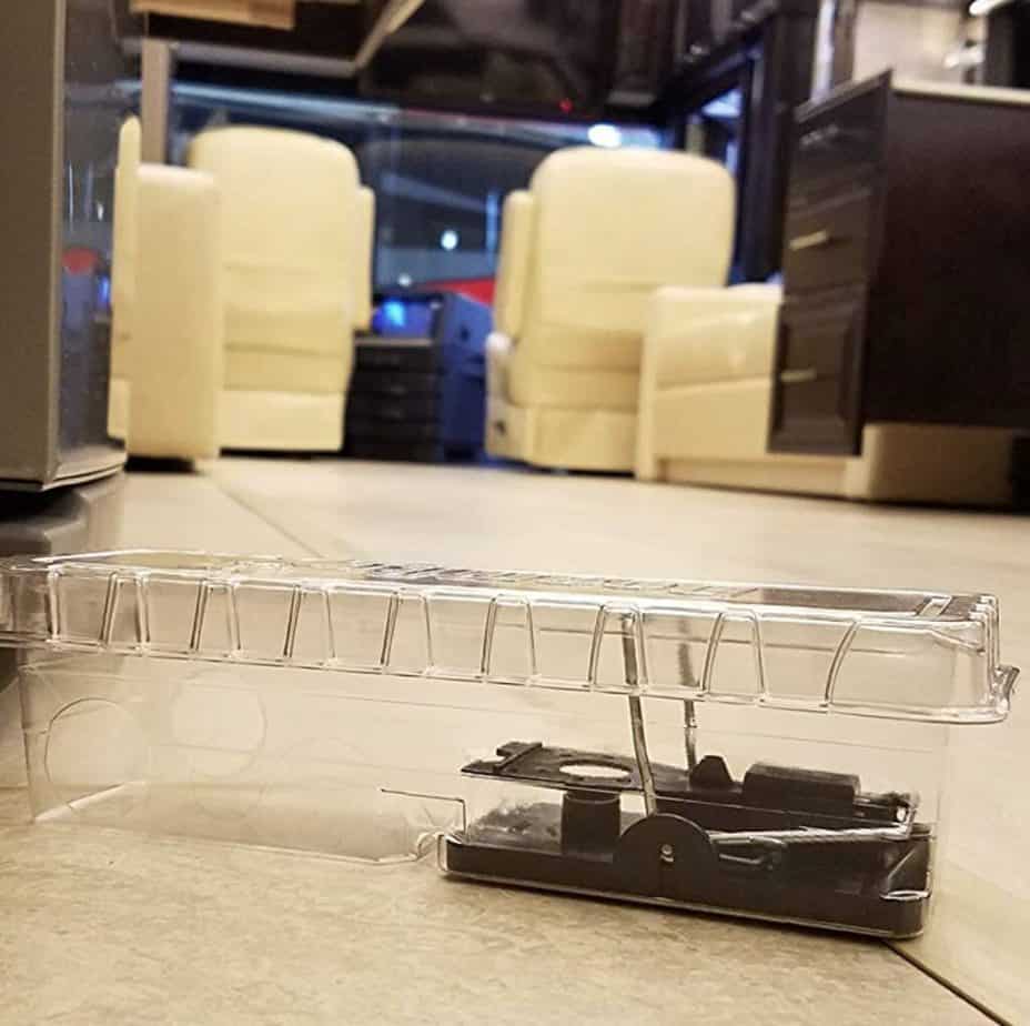 mouse traps to use in rv