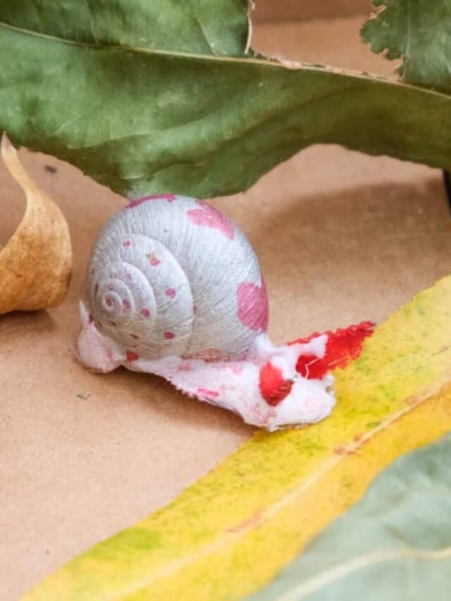 diy snail shell pet craft for kids