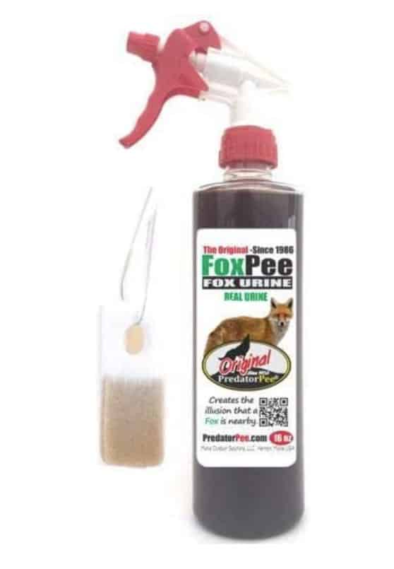 how to use fox or coyote pee to keep mice out of camper