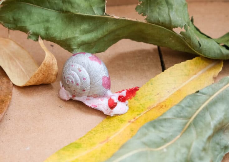 diy snail shell pet craft for kids