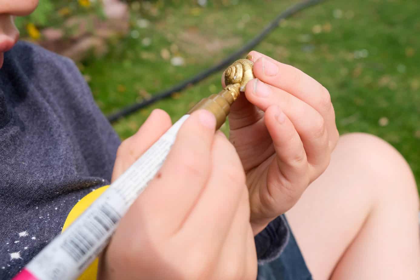 decorating snail shells for nature study unit on mountain snails