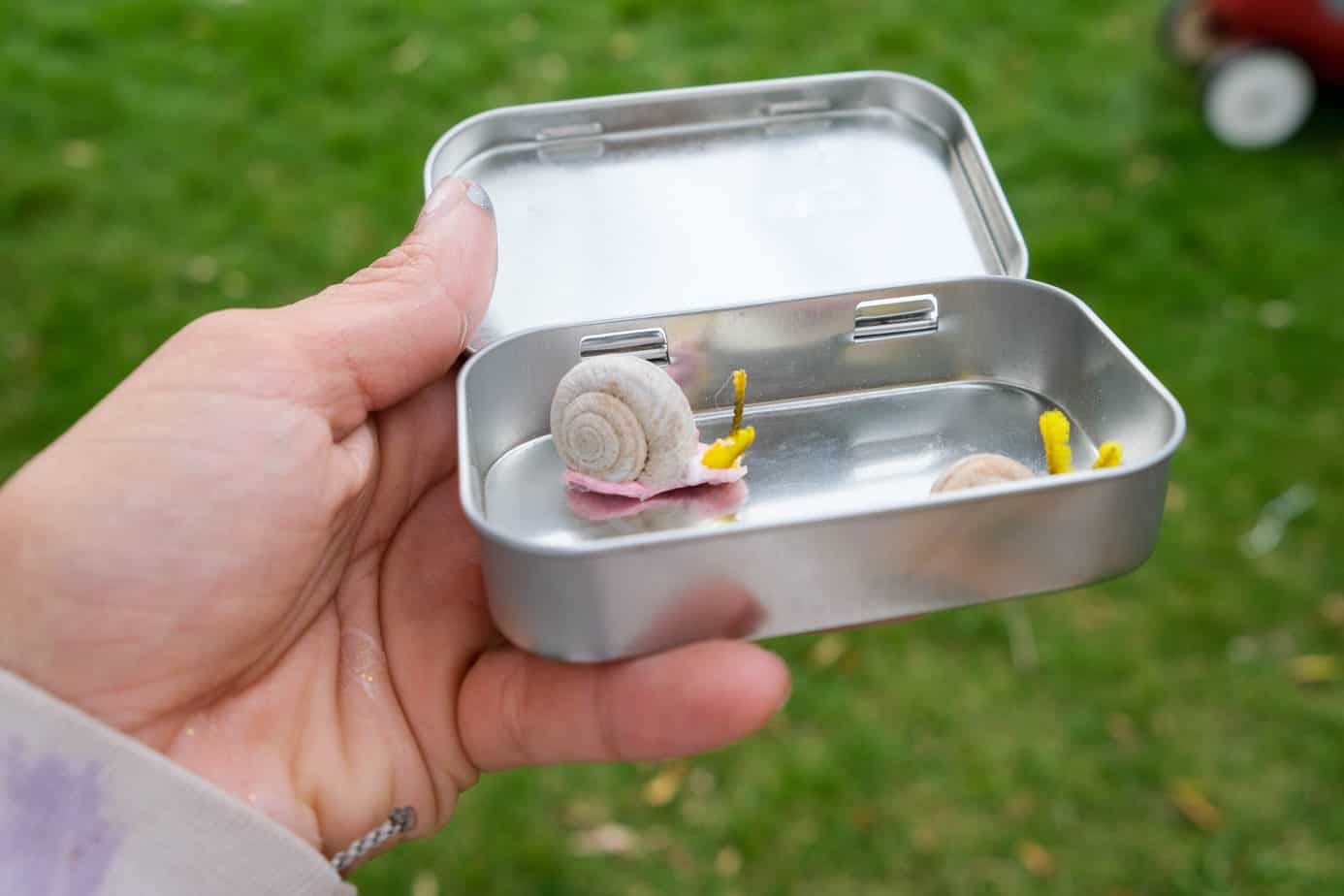 diy tin pet snail