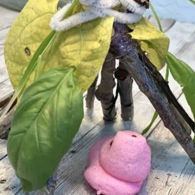 nature craft for easter with kids using a peep candy