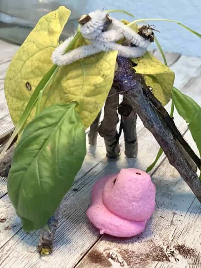 Fun Easter Peeps Nature Shelter Activity for Kids Story