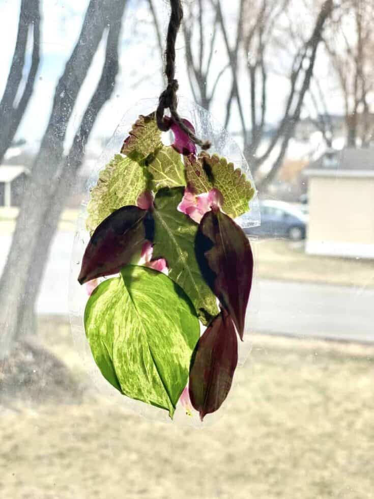 Nature Easter Egg Window Art Craft