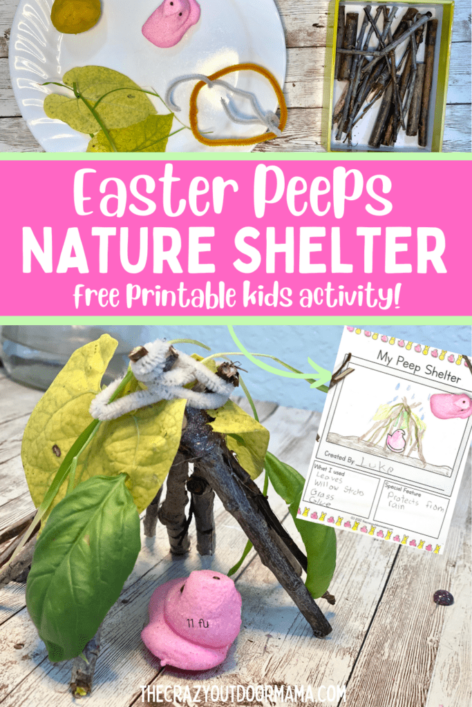 craft idea for peeps easter in nature