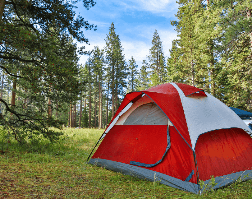 35 Unique Camping Gift Ideas ZERO Boring Gifts Here! The Crazy