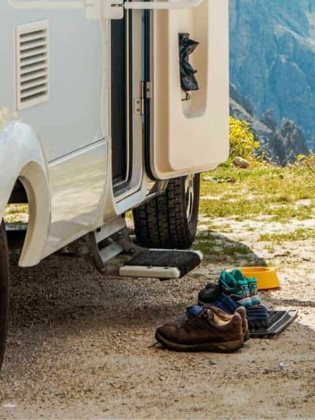 8 Best RV Step Covers Story
