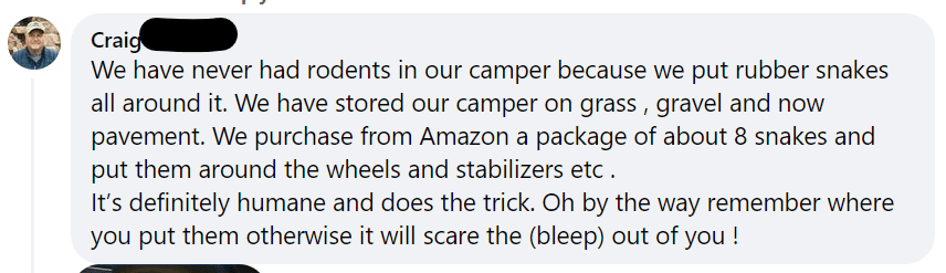 using fake snakes to keep mice away from camper