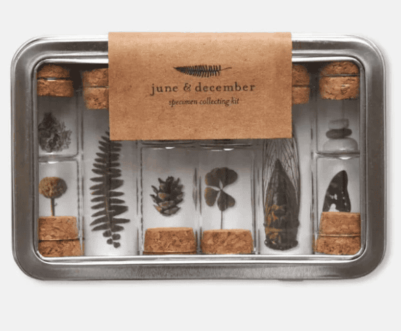 specimen display kit for outdoorsy teens