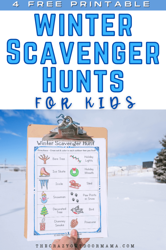 winter scavenger hunt for little kids featuring color in winter themed items