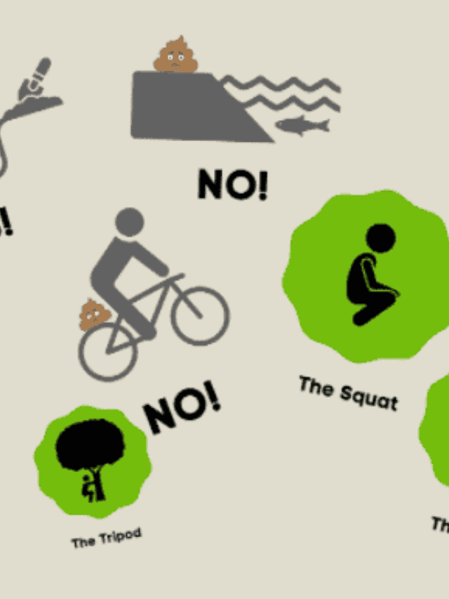 The Illustrated Guide to Taking A Dump Outdoors Story