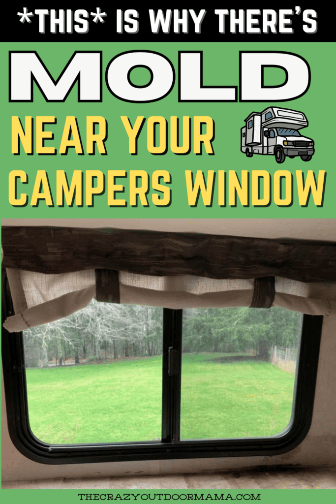 how to find window leaks in rv that cause mold around window frame