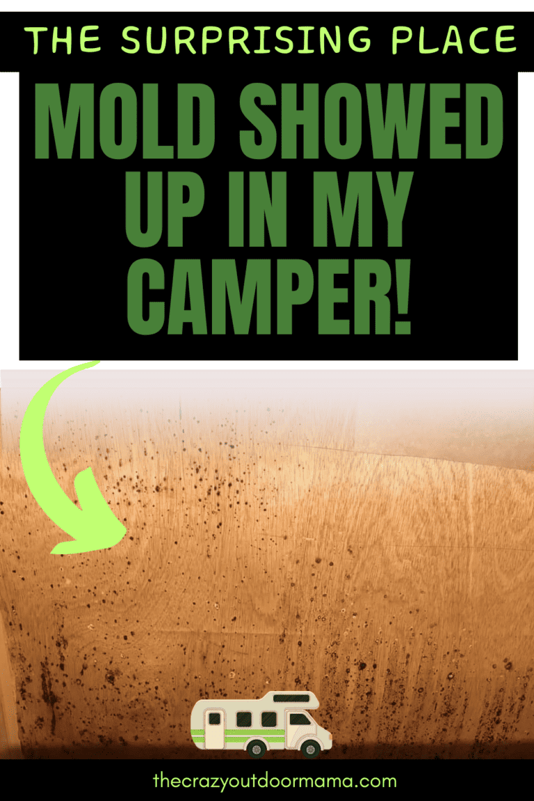 7 Tips To Prevent Mold BuildUp Under Your RV Mattress (+ DIY Ideas