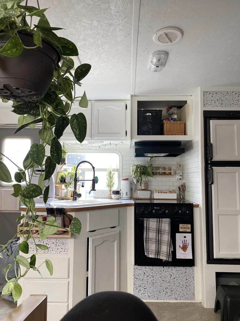 house plant draping down in front of white camper kitchen