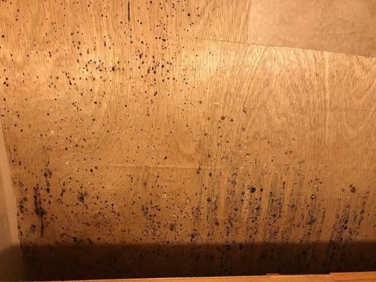 7 Tips To Prevent Mold Build-Up Under Your RV Mattress (+ DIY Ideas ...
