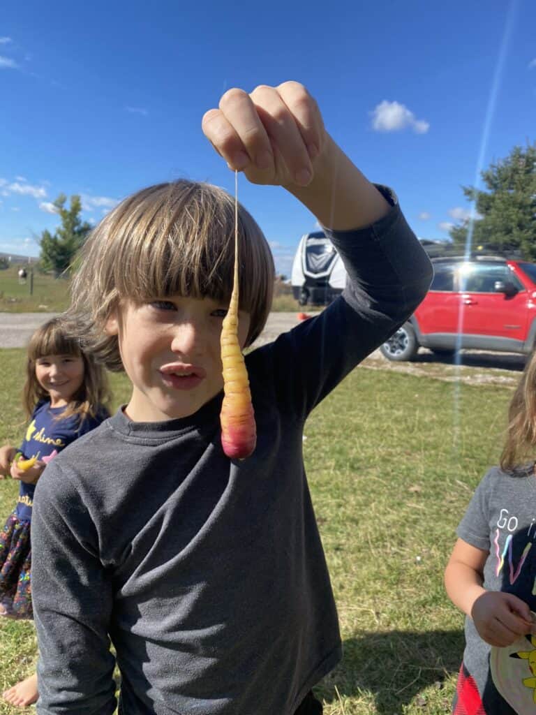child holding home grown carrot